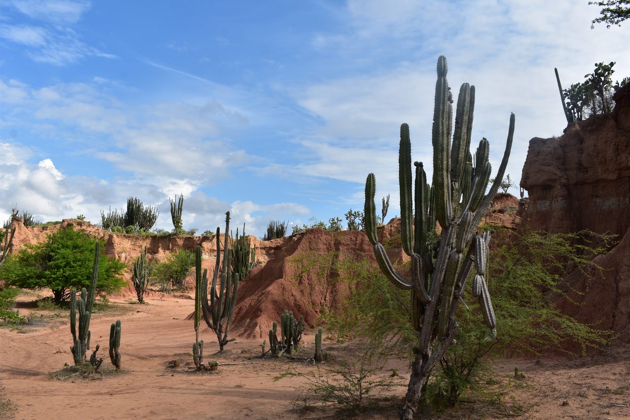 Sleeping in a Hammock in the Tatacoa Desert, Colombia