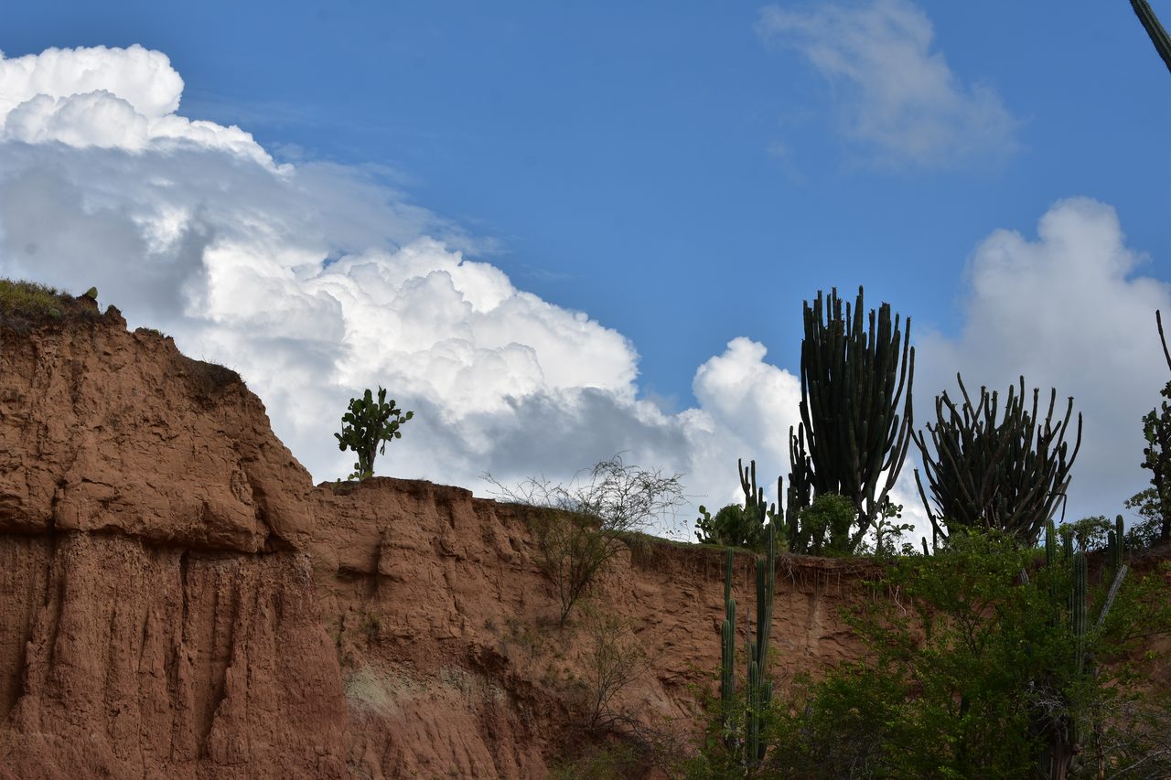 Sleeping in a Hammock in the Tatacoa Desert, Colombia