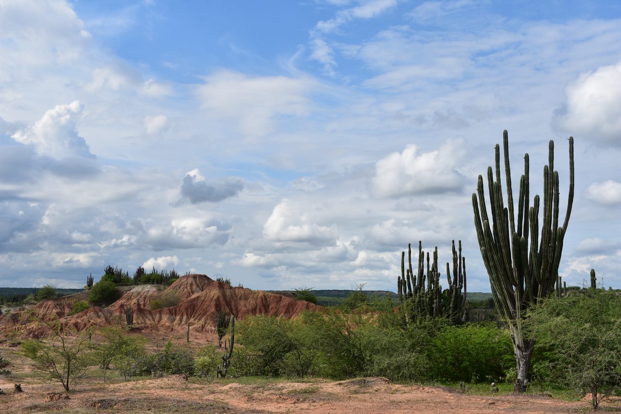 Sleeping in a Hammock in the Tatacoa Desert, Colombia