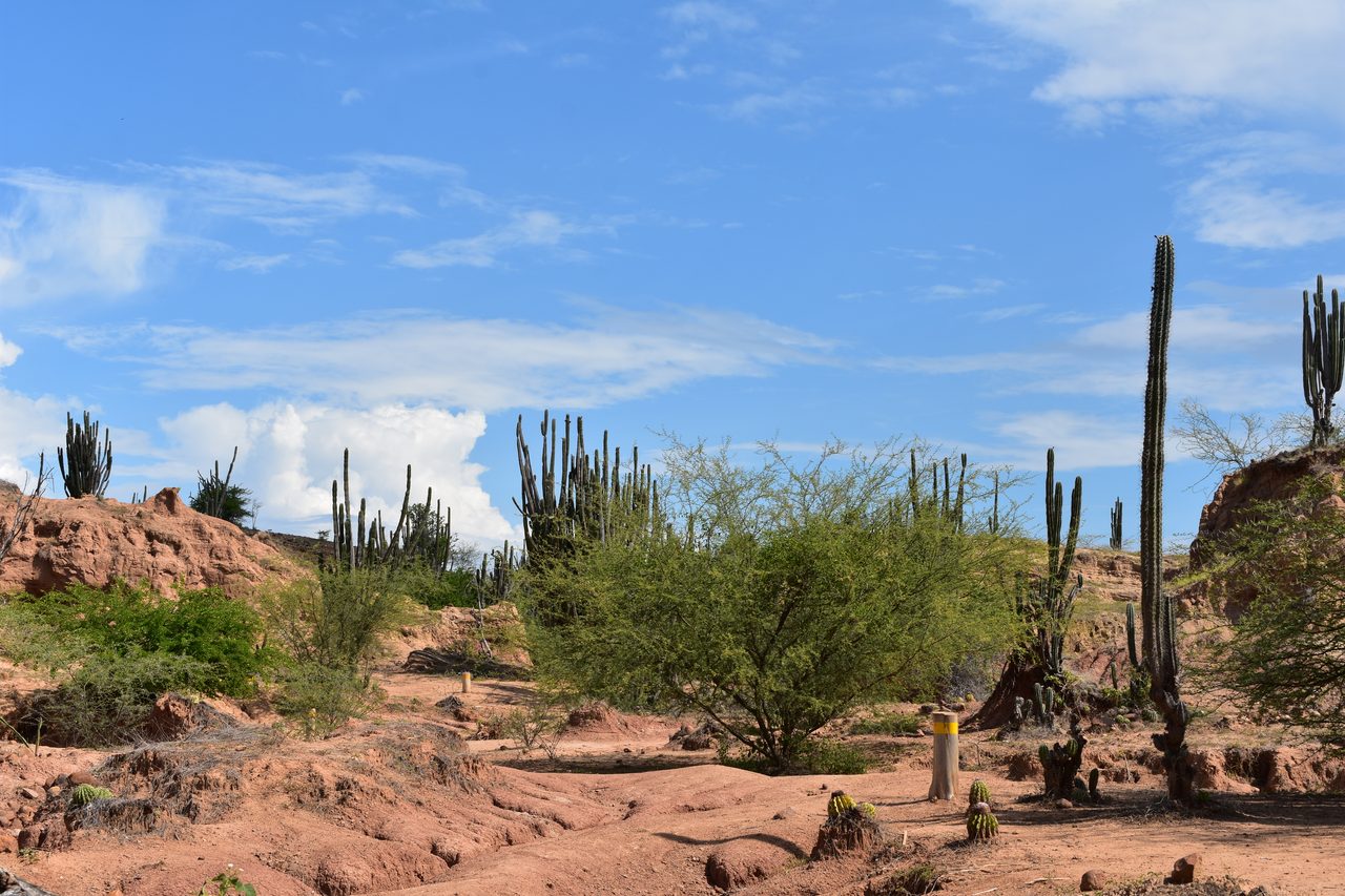 Sleeping in a Hammock in the Tatacoa Desert, Colombia