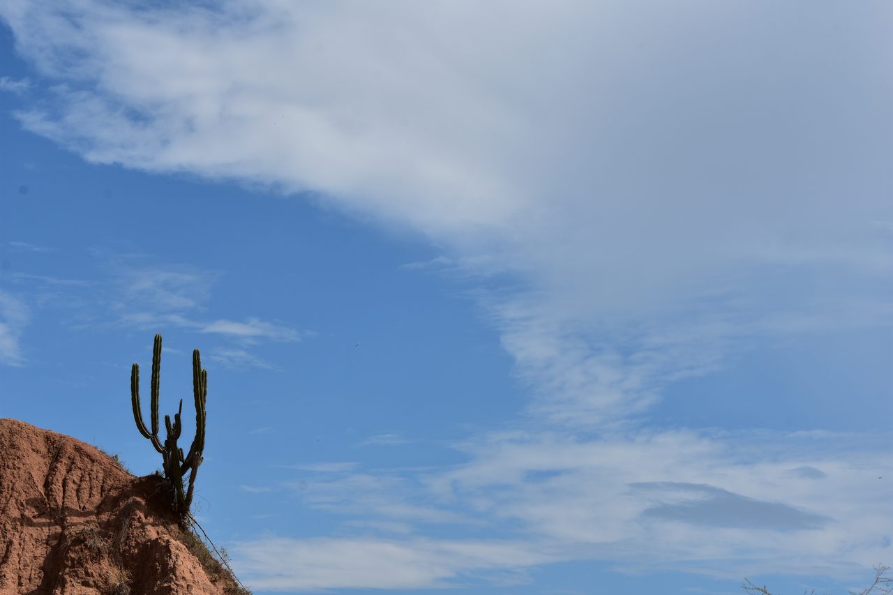 Sleeping in a Hammock in the Tatacoa Desert, Colombia