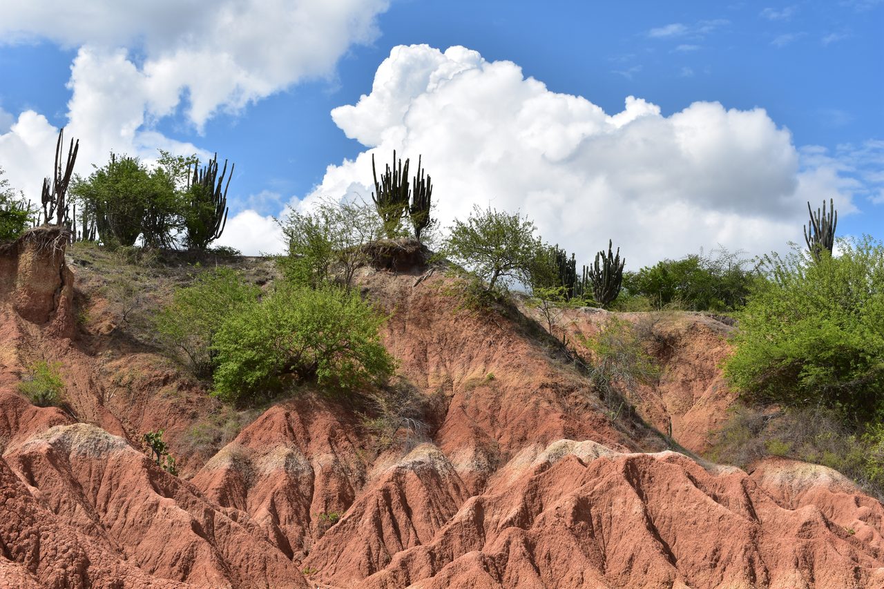 Sleeping in a Hammock in the Tatacoa Desert, Colombia