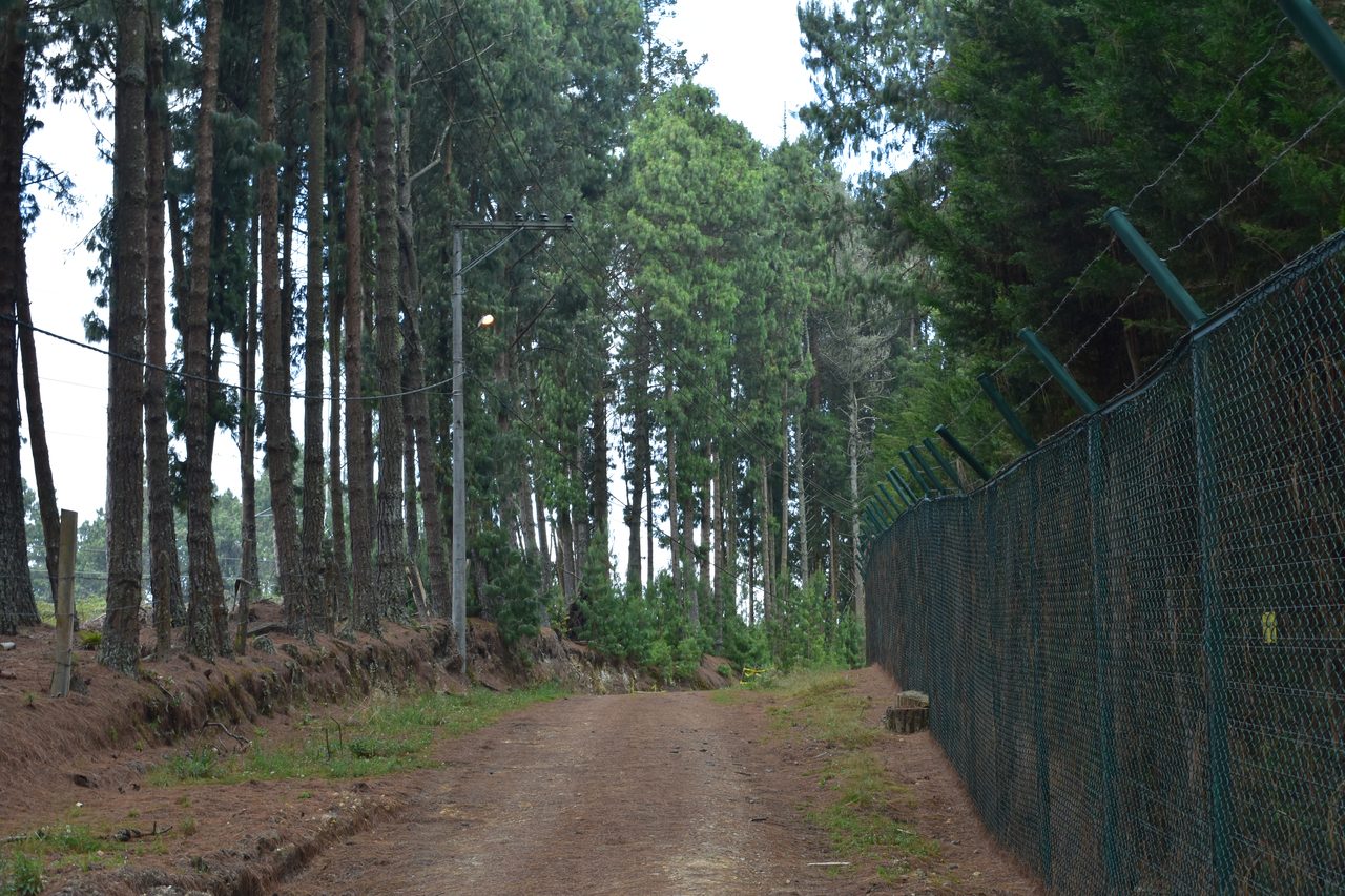 How to hike the Camino del Indio from Bogotá's Cerros to La Calera with the stunning Embalse de San Rafael backdrop