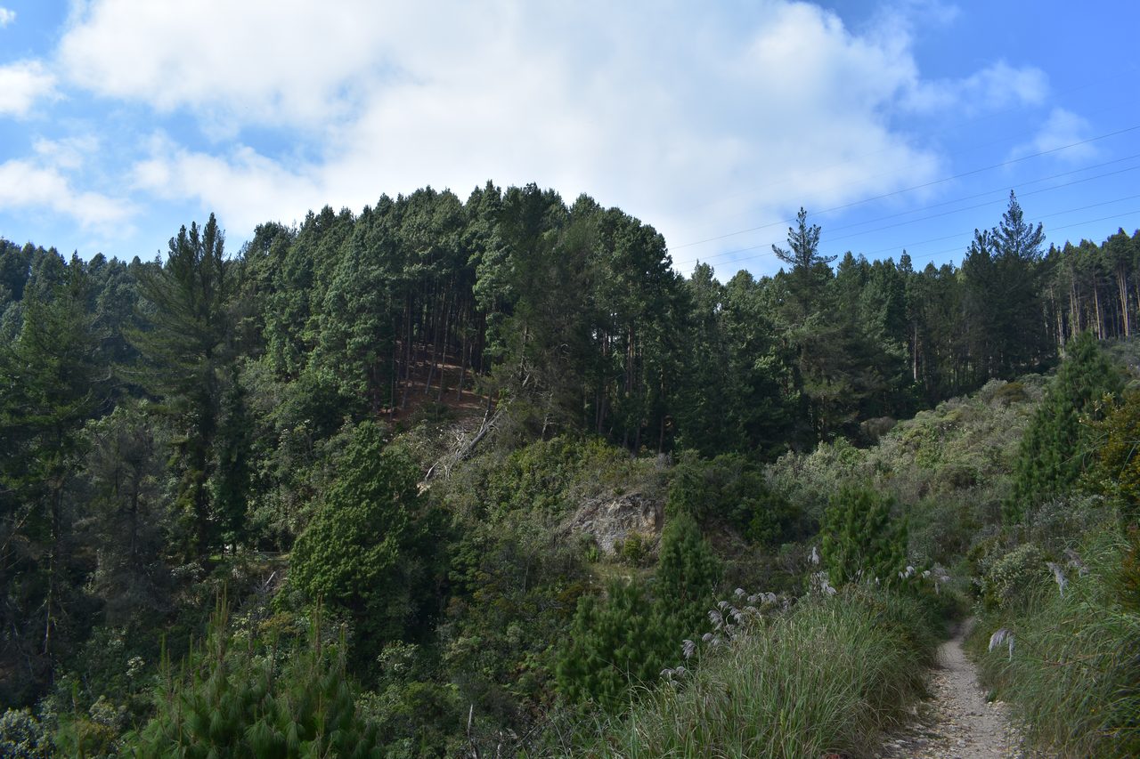How to hike the Camino del Indio from Bogotá's Cerros to La Calera with the stunning Embalse de San Rafael backdrop