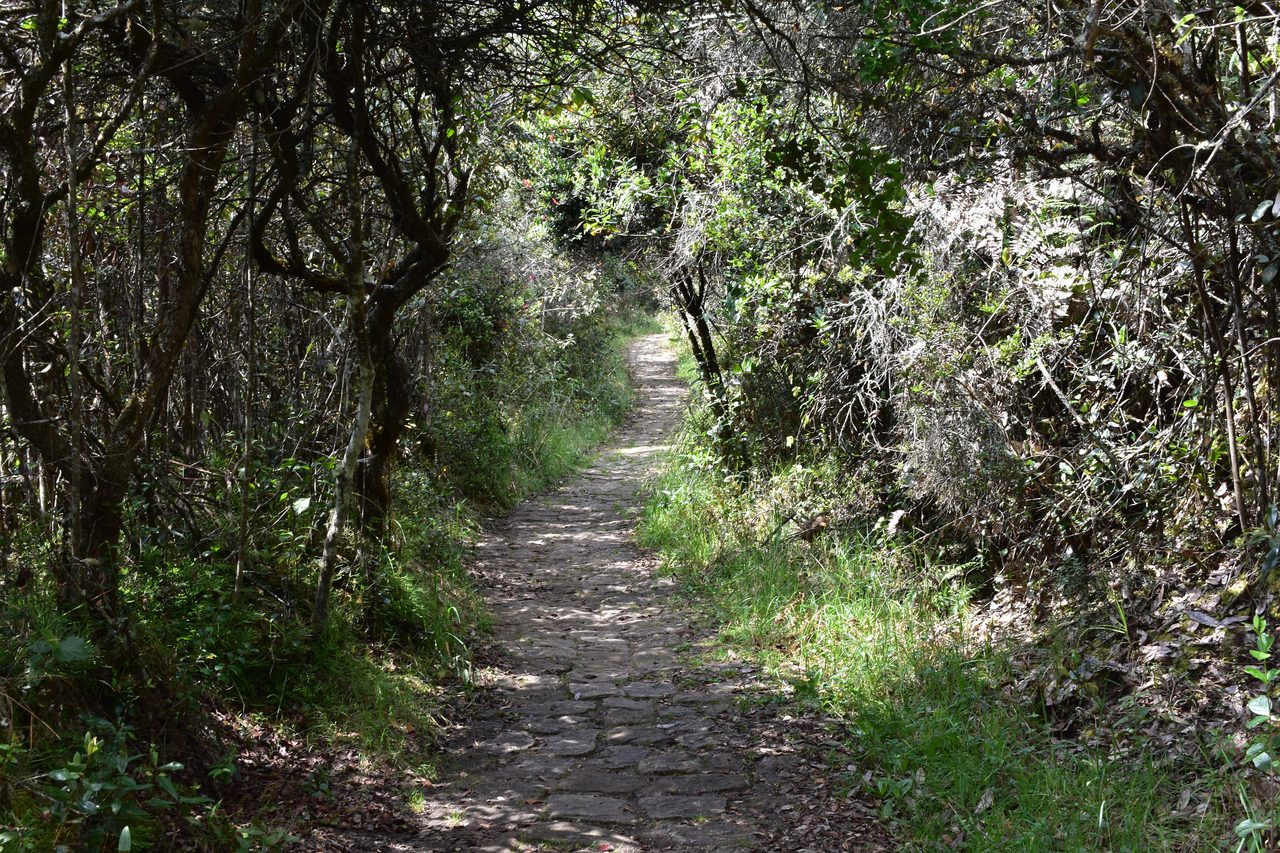 How to hike the Camino del Indio from Bogotá's Cerros to La Calera with the stunning Embalse de San Rafael backdrop