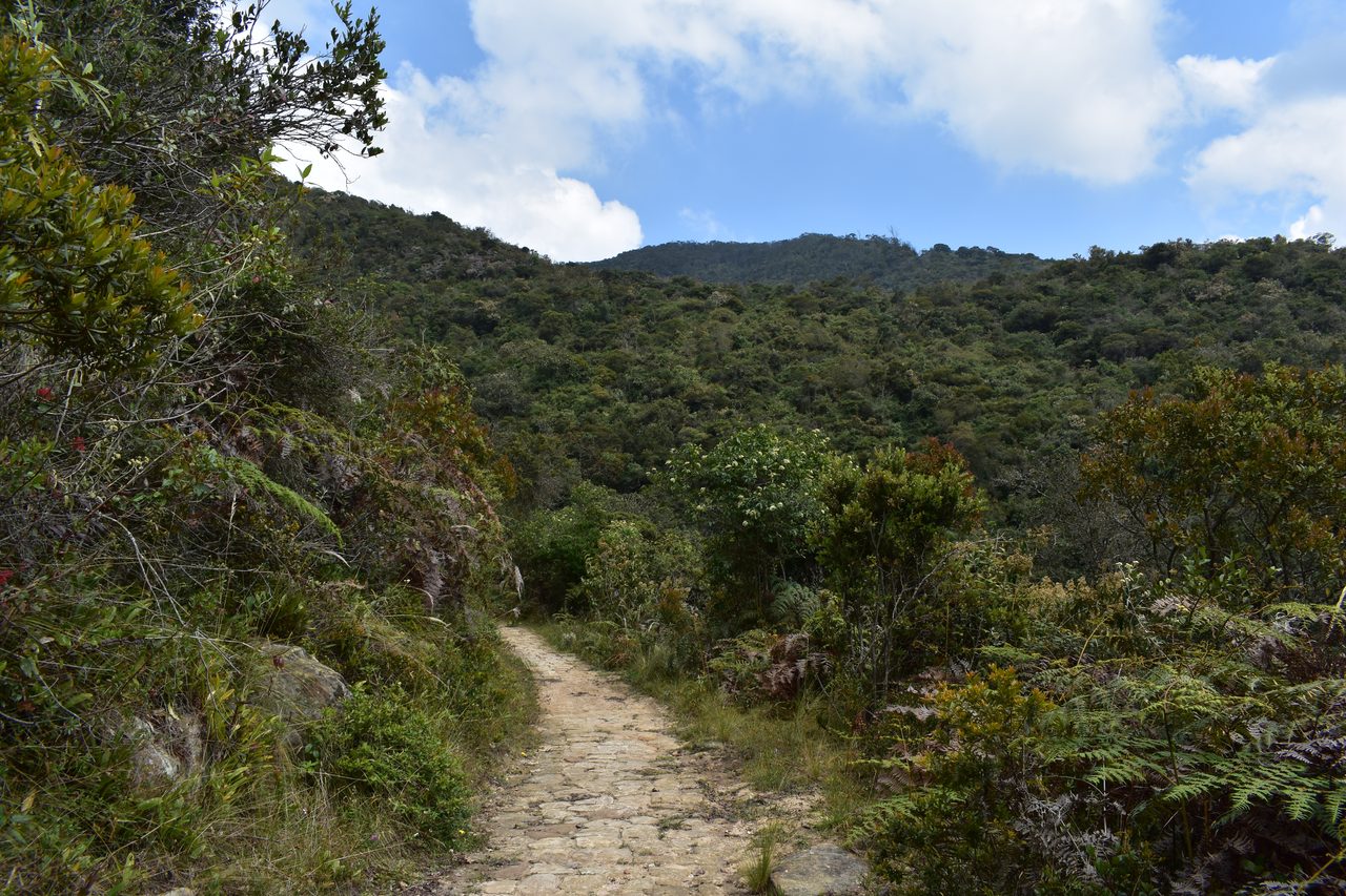 How to hike the Camino del Indio from Bogotá's Cerros to La Calera with the stunning Embalse de San Rafael backdrop