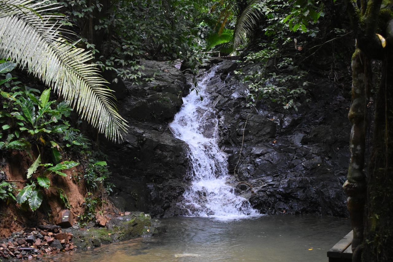 The Complete Guide to Capurganá, Sapzurro, La Miel and Necoclí, Colombia