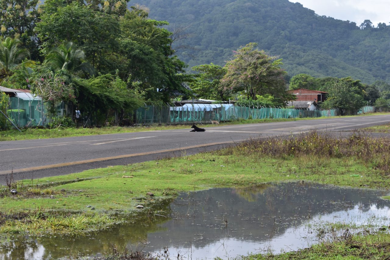 The Complete Guide to Capurganá, Sapzurro, La Miel and Necoclí, Colombia