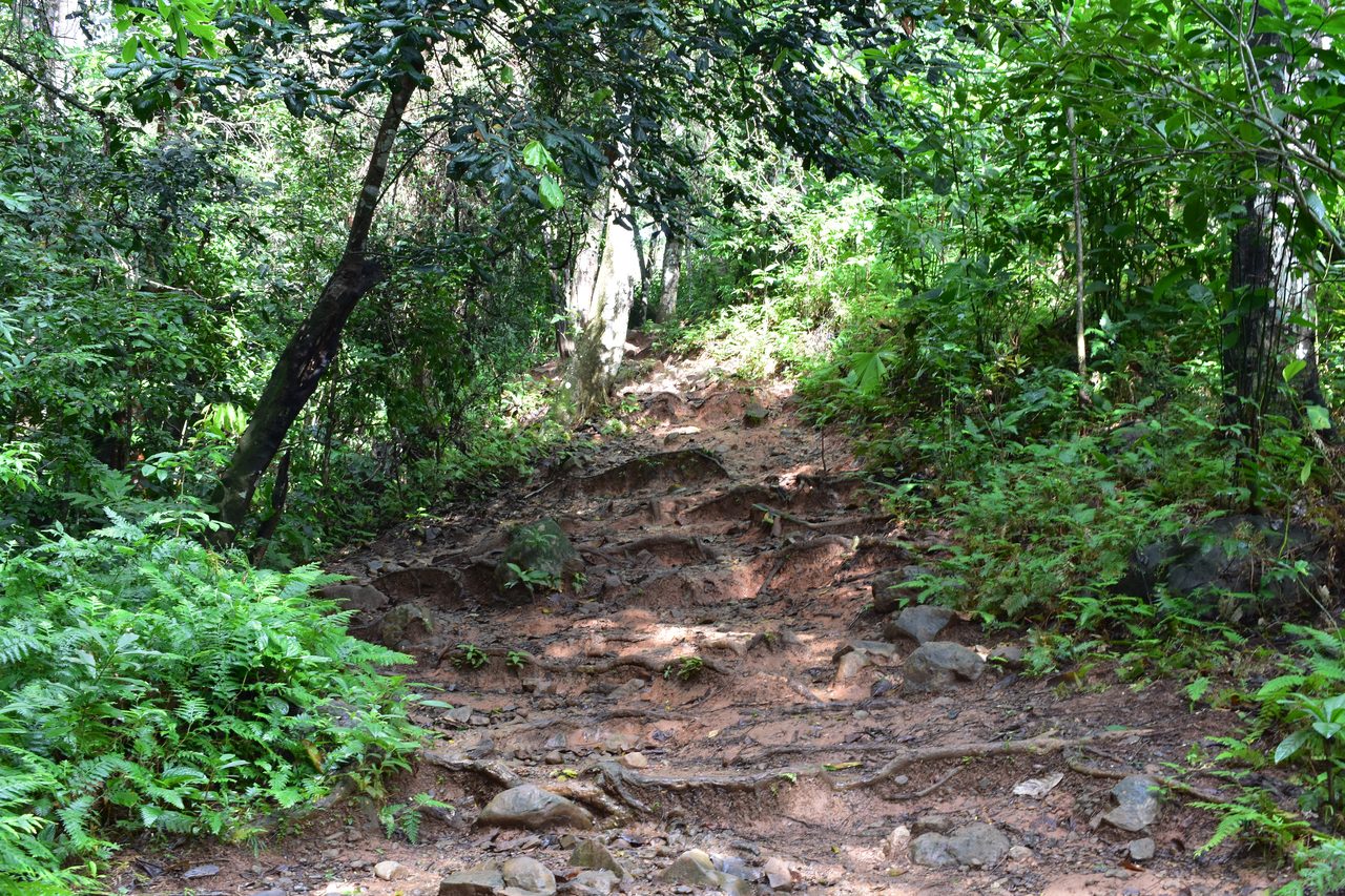 The Complete Guide to Capurganá, Sapzurro, La Miel and Necoclí, Colombia