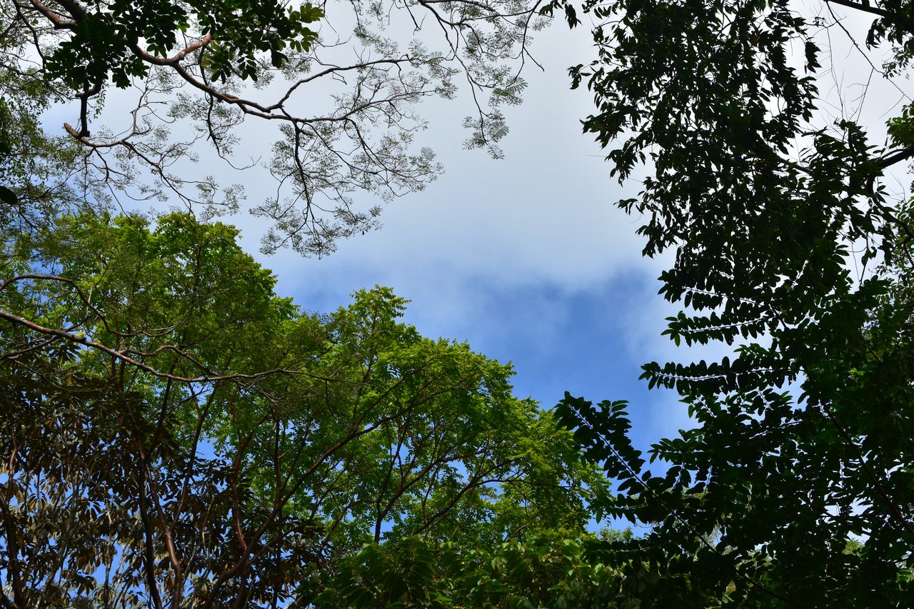 The Complete Guide to Capurganá, Sapzurro, La Miel and Necoclí, Colombia