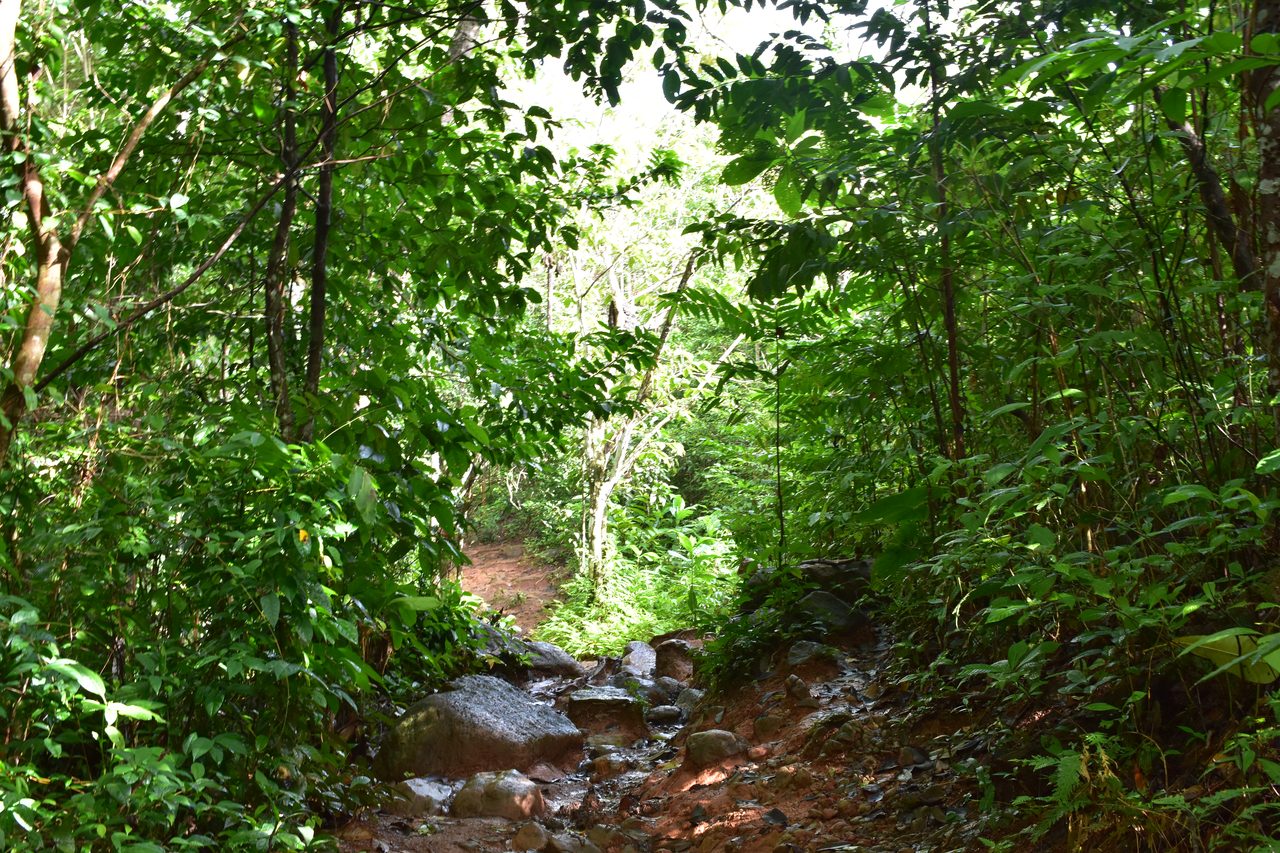 The Complete Guide to Capurganá, Sapzurro, La Miel and Necoclí, Colombia