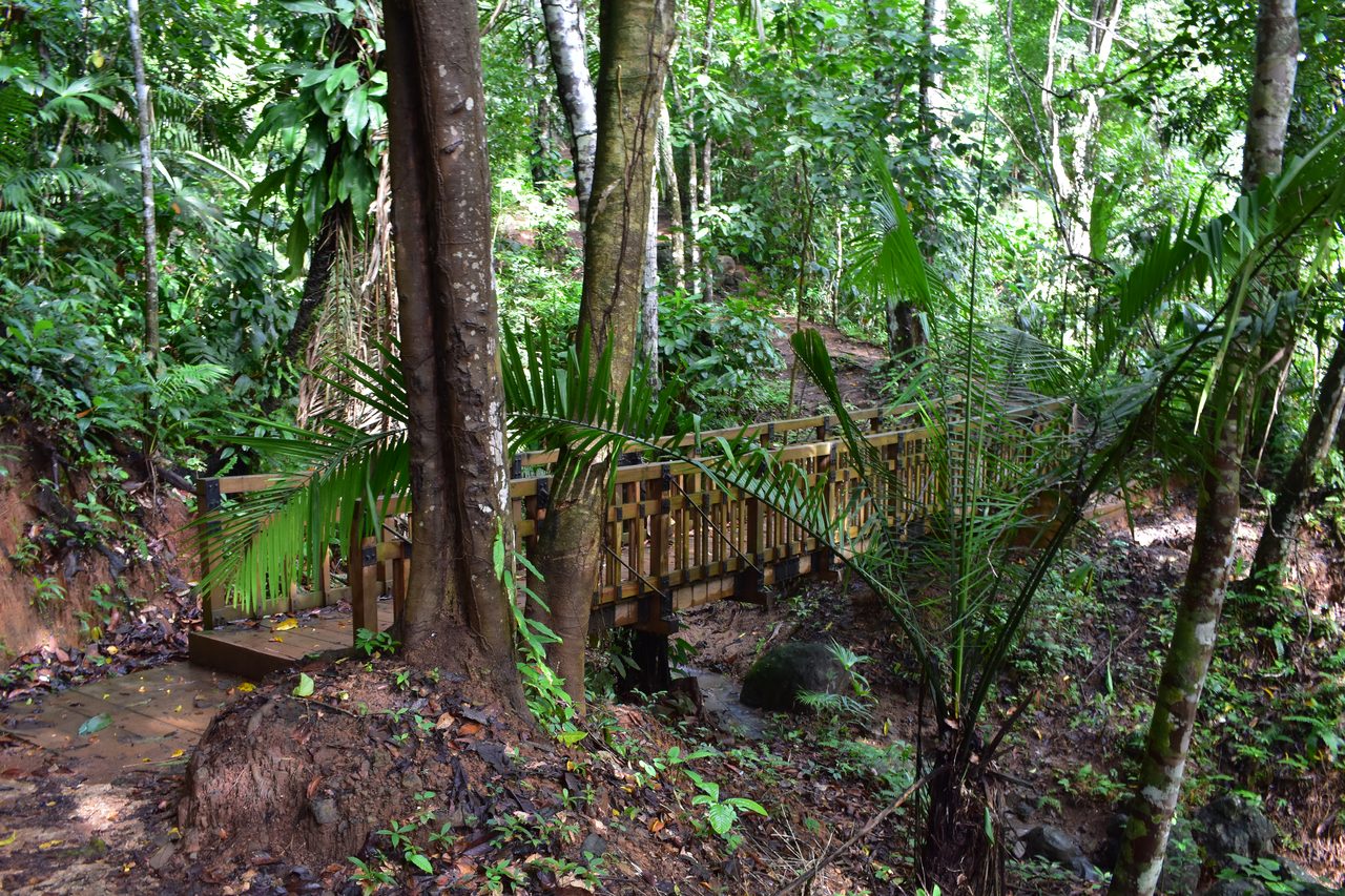 The Complete Guide to Capurganá, Sapzurro, La Miel and Necoclí, Colombia