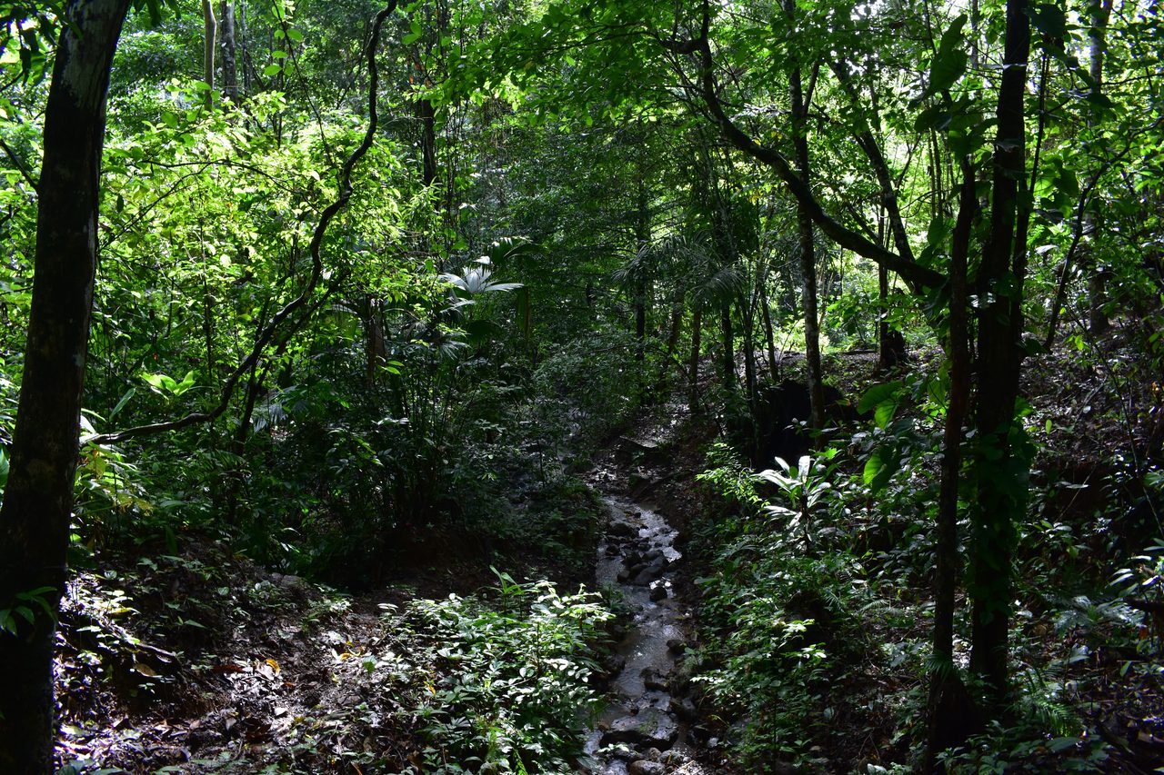 The Complete Guide to Capurganá, Sapzurro, La Miel and Necoclí, Colombia