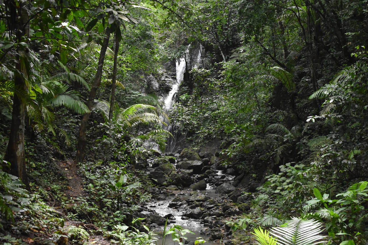 The Complete Guide to Capurganá, Sapzurro, La Miel and Necoclí, Colombia