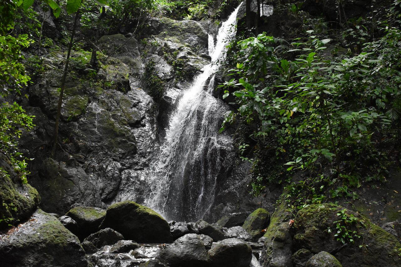 The Complete Guide to Capurganá, Sapzurro, La Miel and Necoclí, Colombia