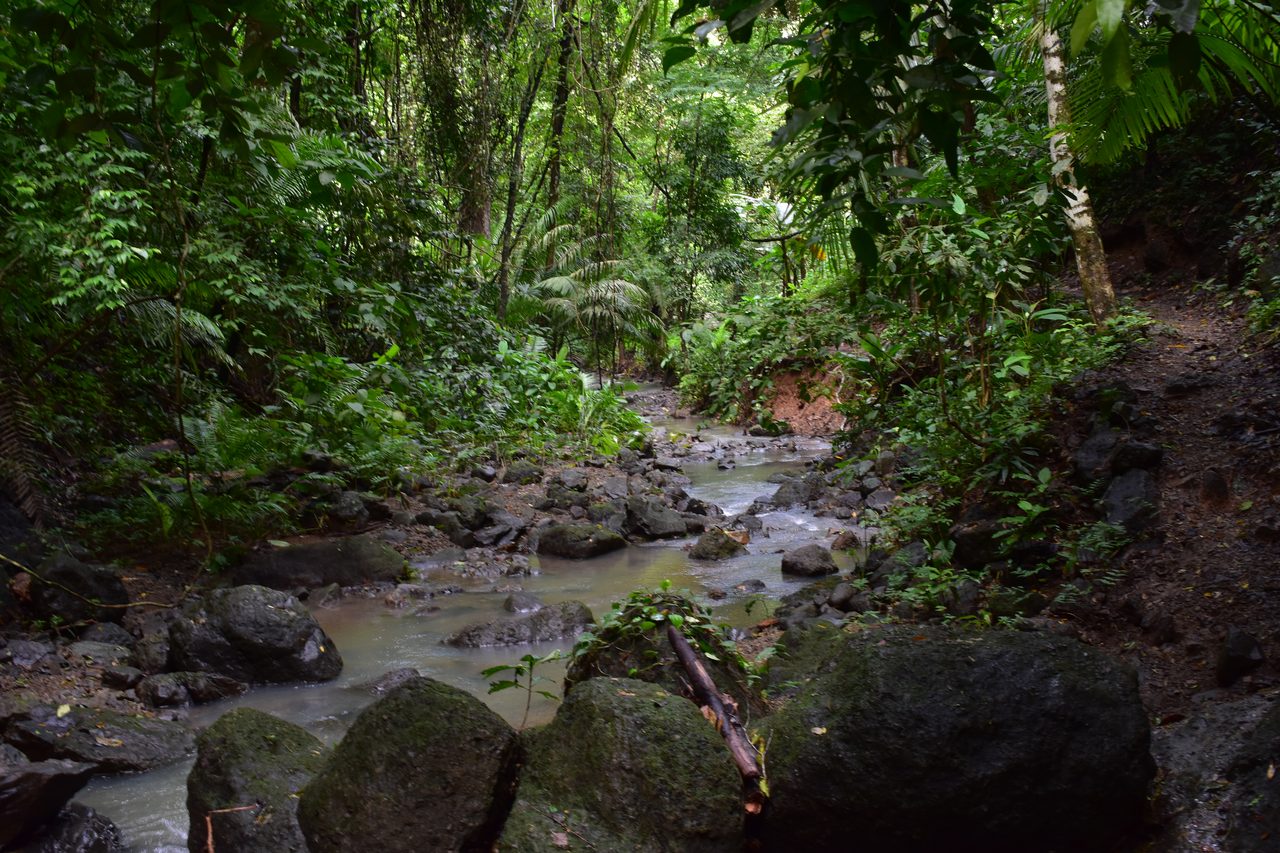 The Complete Guide to Capurganá, Sapzurro, La Miel and Necoclí, Colombia