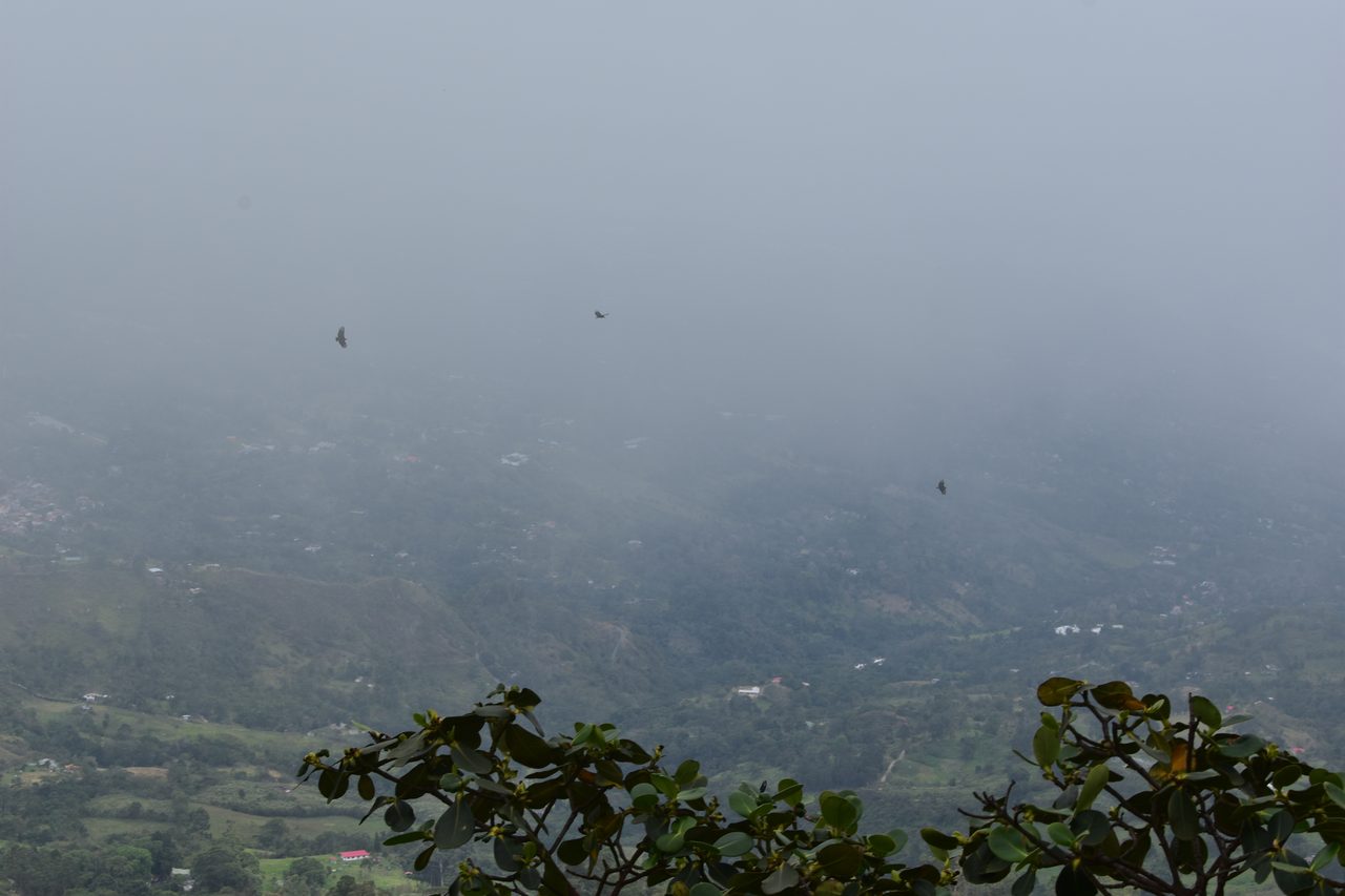 How to hike at Parque Natural Chicaque, a stunning mountain cloud forest close to Bogotá