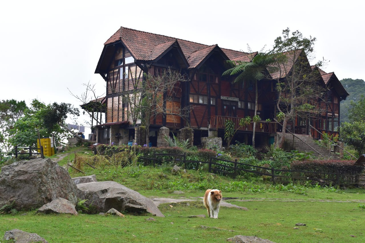 How to hike at Parque Natural Chicaque, a stunning mountain cloud forest close to Bogotá