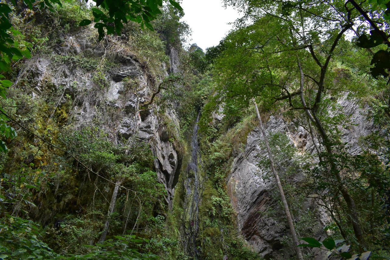 How to hike at Parque Natural Chicaque, a stunning mountain cloud forest close to Bogotá