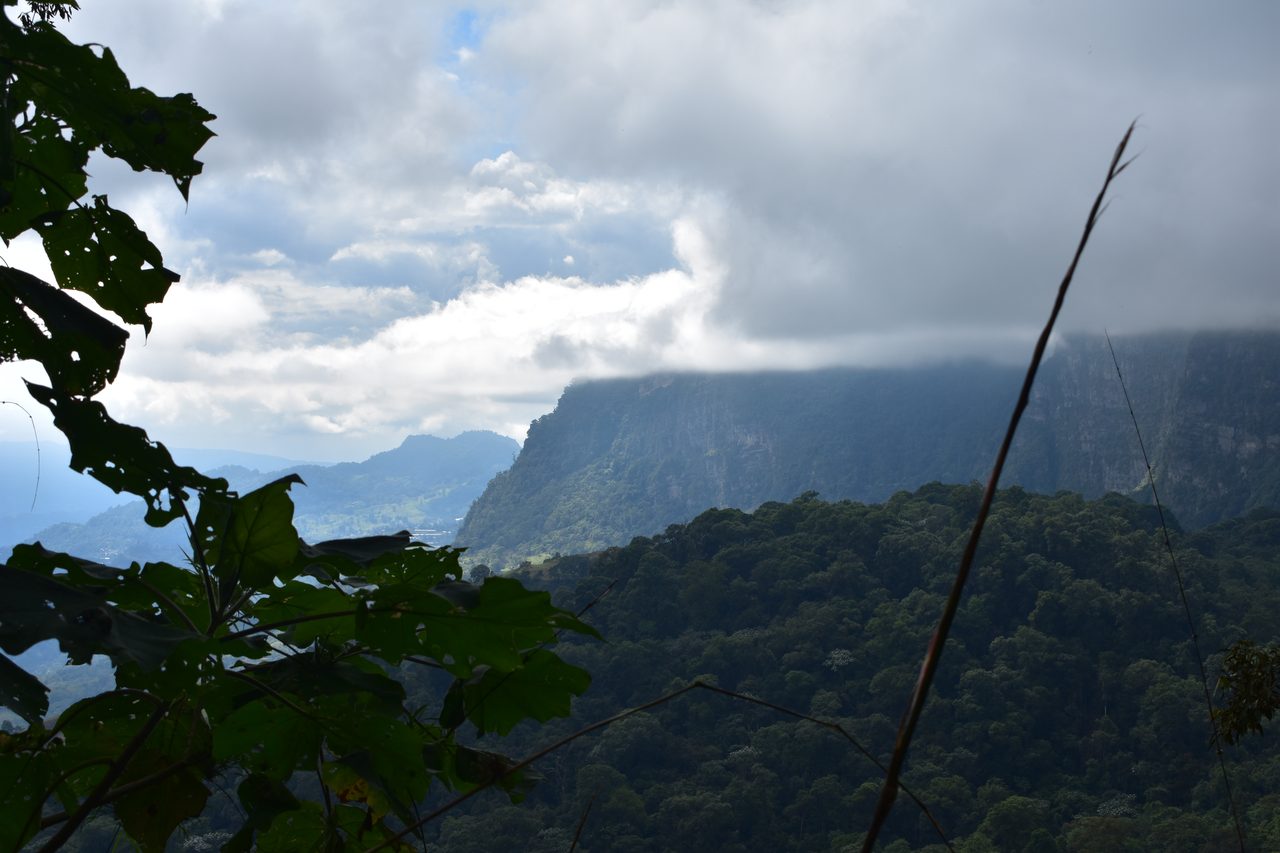 How to hike at Parque Natural Chicaque, a stunning mountain cloud forest close to Bogotá