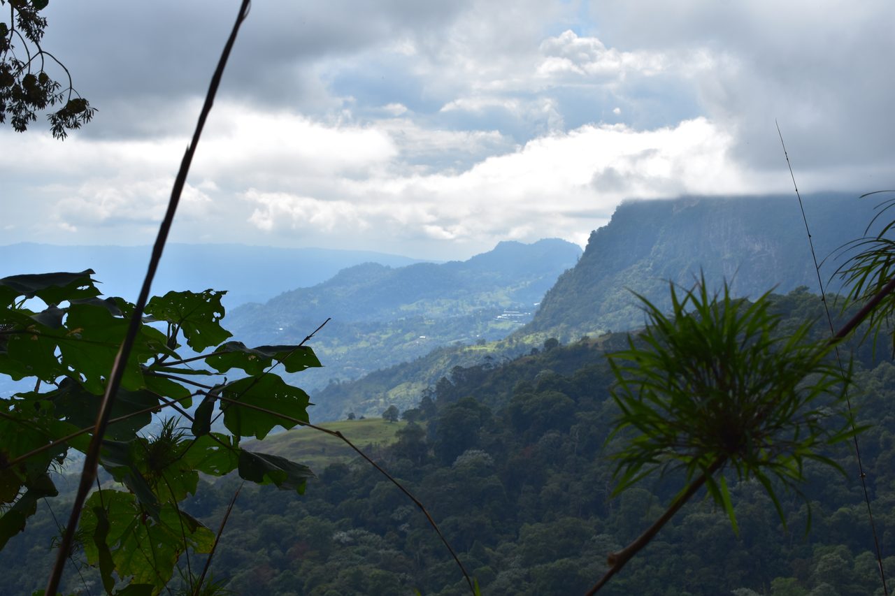 How to hike at Parque Natural Chicaque, a stunning mountain cloud forest close to Bogotá