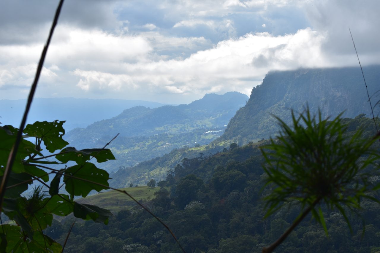 How to hike at Parque Natural Chicaque, a stunning mountain cloud forest close to Bogotá