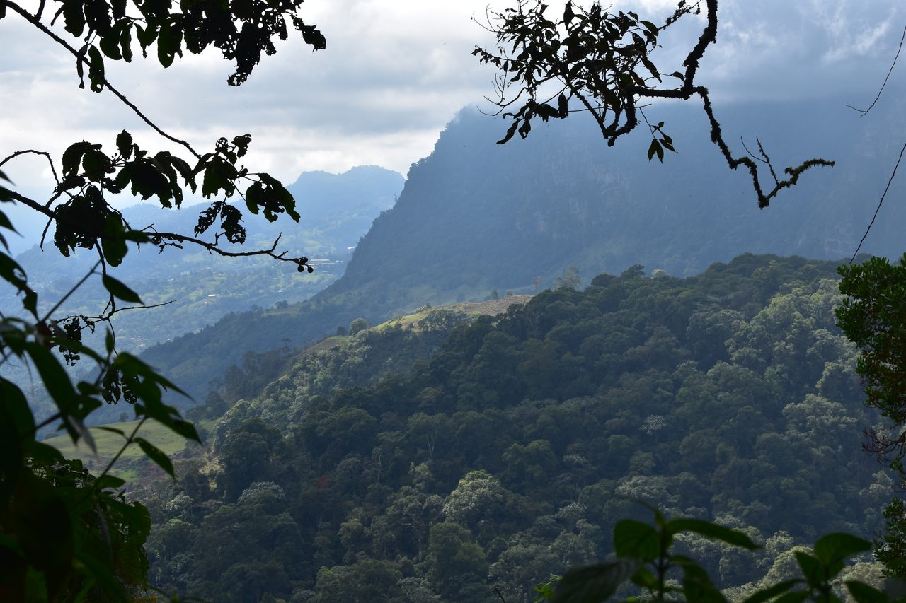 How to hike at Parque Natural Chicaque, a stunning mountain cloud forest close to Bogotá
