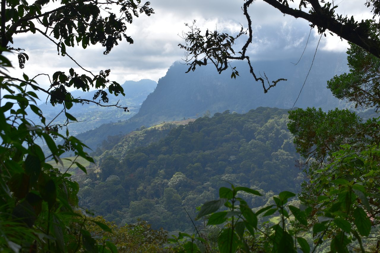 How to hike at Parque Natural Chicaque, a stunning mountain cloud forest close to Bogotá