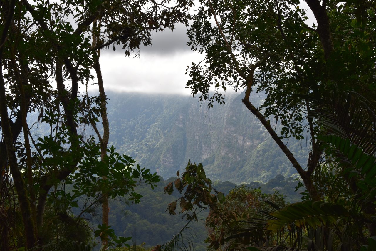How to hike at Parque Natural Chicaque, a stunning mountain cloud forest close to Bogotá
