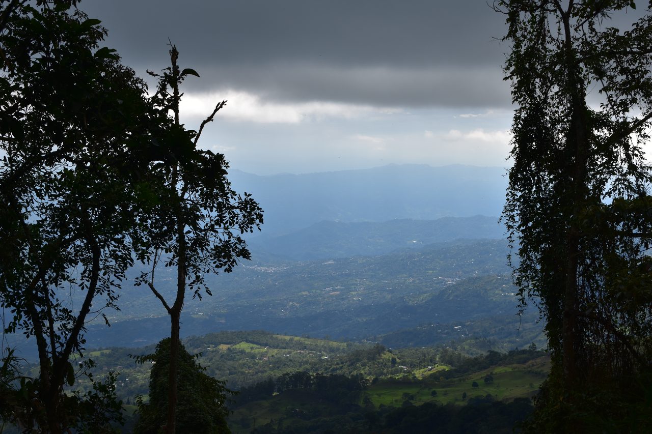How to hike at Parque Natural Chicaque, a stunning mountain cloud forest close to Bogotá