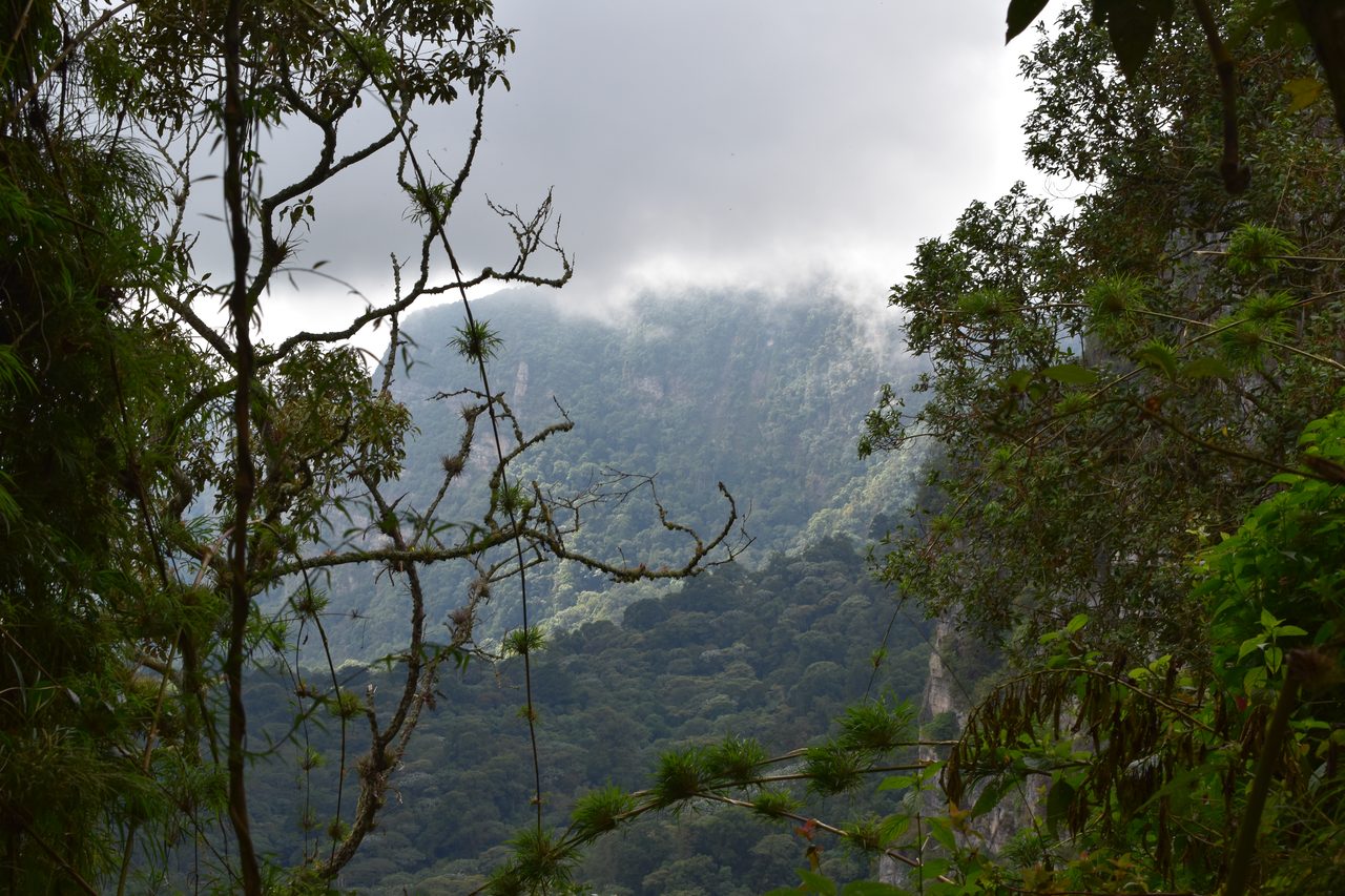 How to hike at Parque Natural Chicaque, a stunning mountain cloud forest close to Bogotá