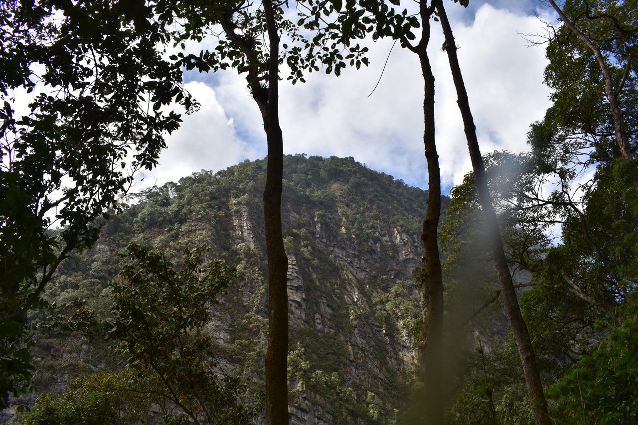 How to hike at Parque Natural Chicaque, a stunning mountain cloud forest close to Bogotá