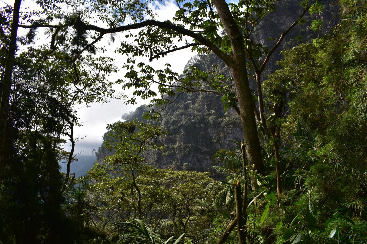 How to hike at Parque Natural Chicaque, a stunning mountain cloud forest close to Bogotá