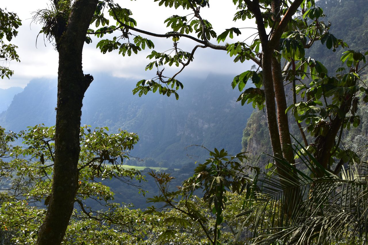 How to hike at Parque Natural Chicaque, a stunning mountain cloud forest close to Bogotá