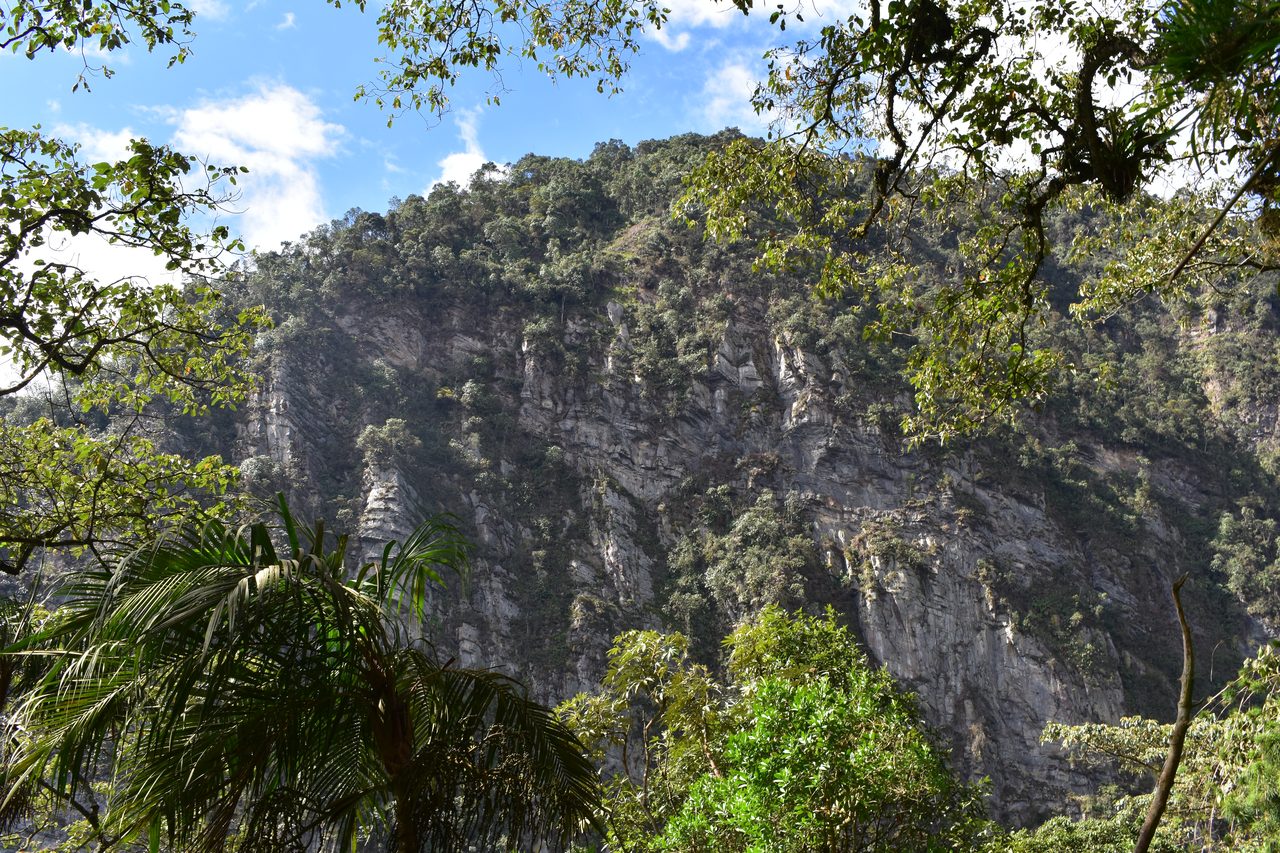 How to hike at Parque Natural Chicaque, a stunning mountain cloud forest close to Bogotá