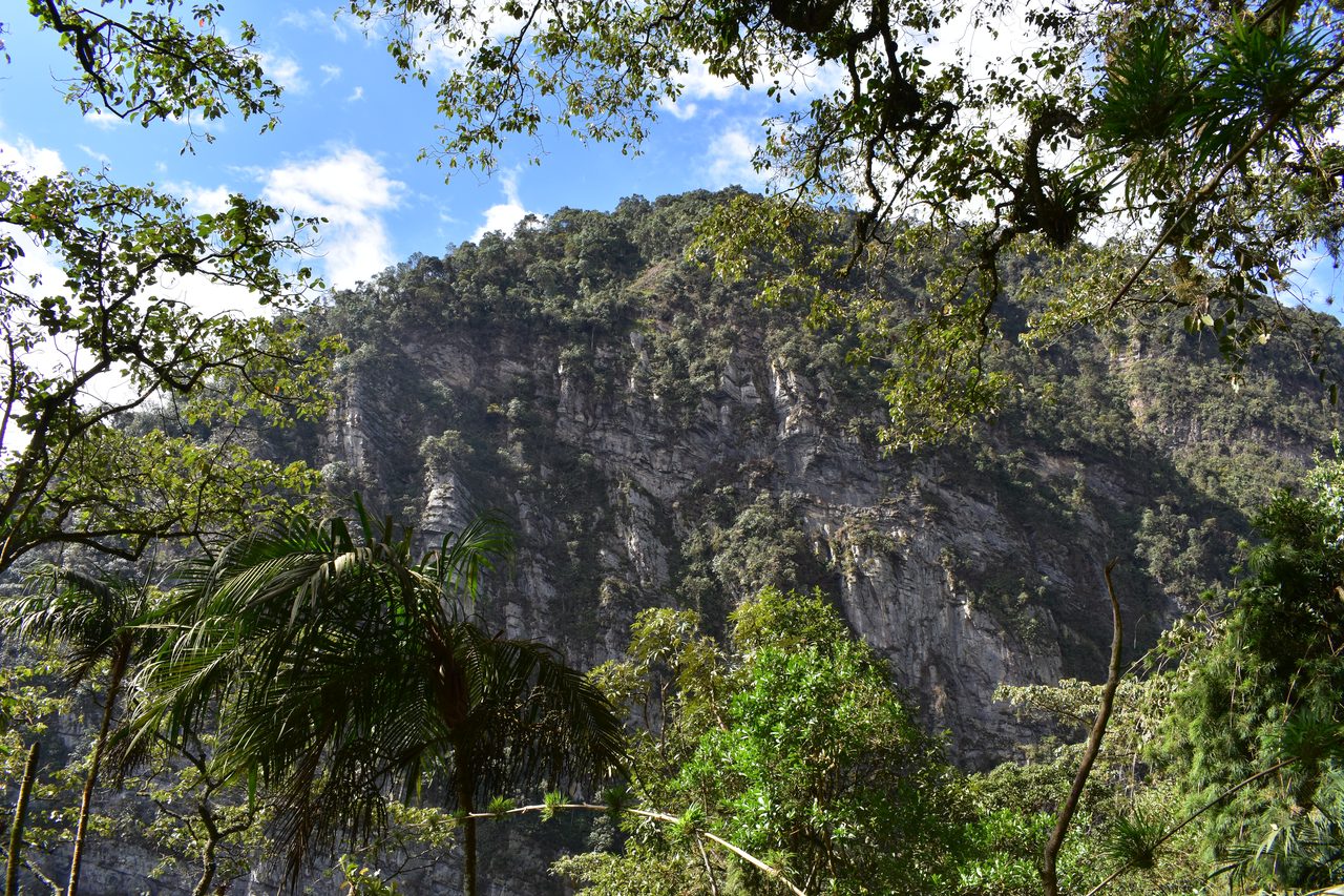How to hike at Parque Natural Chicaque, a stunning mountain cloud forest close to Bogotá
