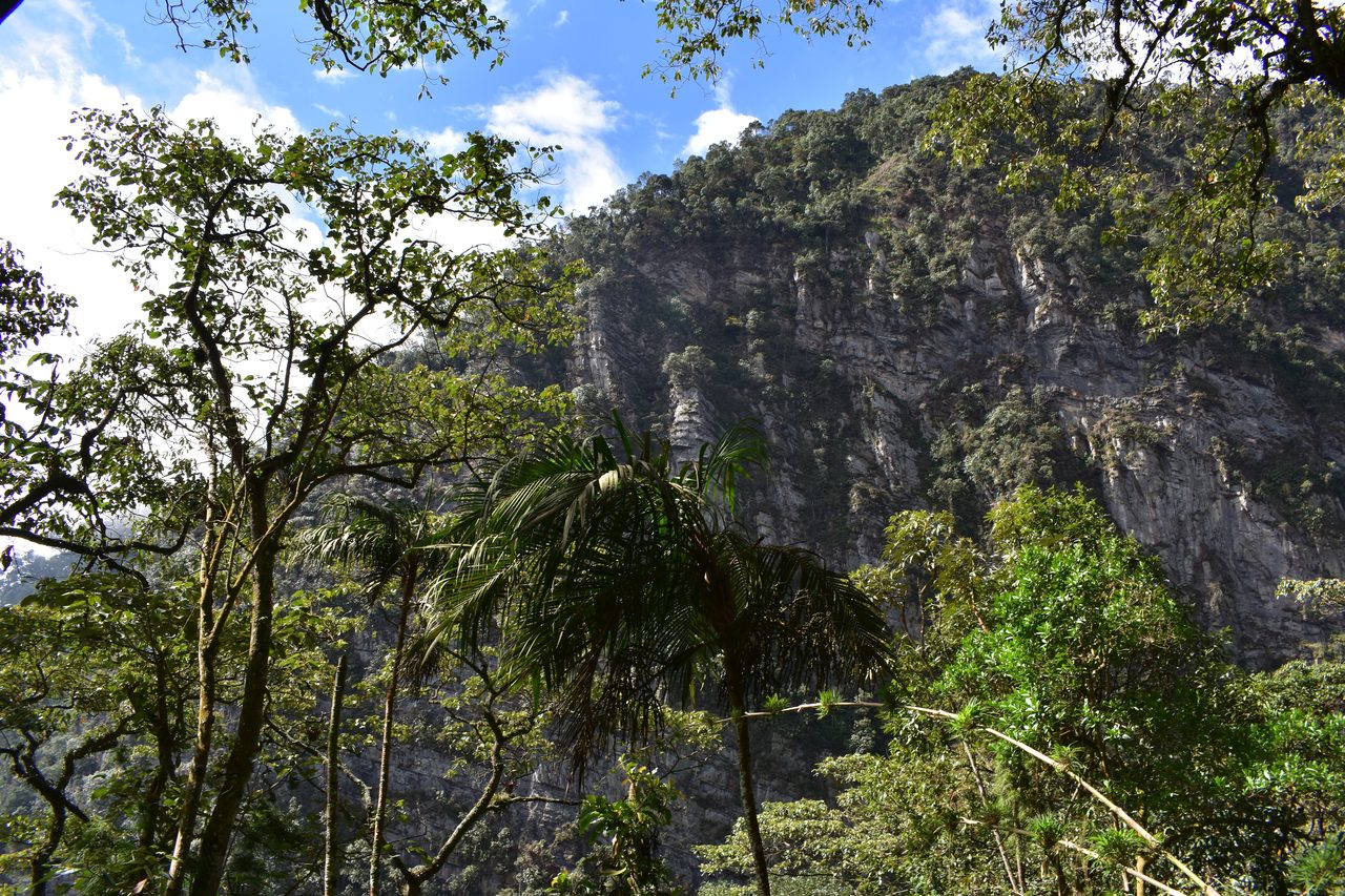 How to hike at Parque Natural Chicaque, a stunning mountain cloud forest close to Bogotá