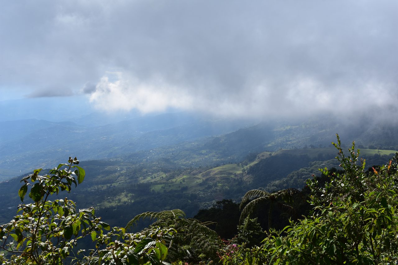 How to hike at Parque Natural Chicaque, a stunning mountain cloud forest close to Bogotá