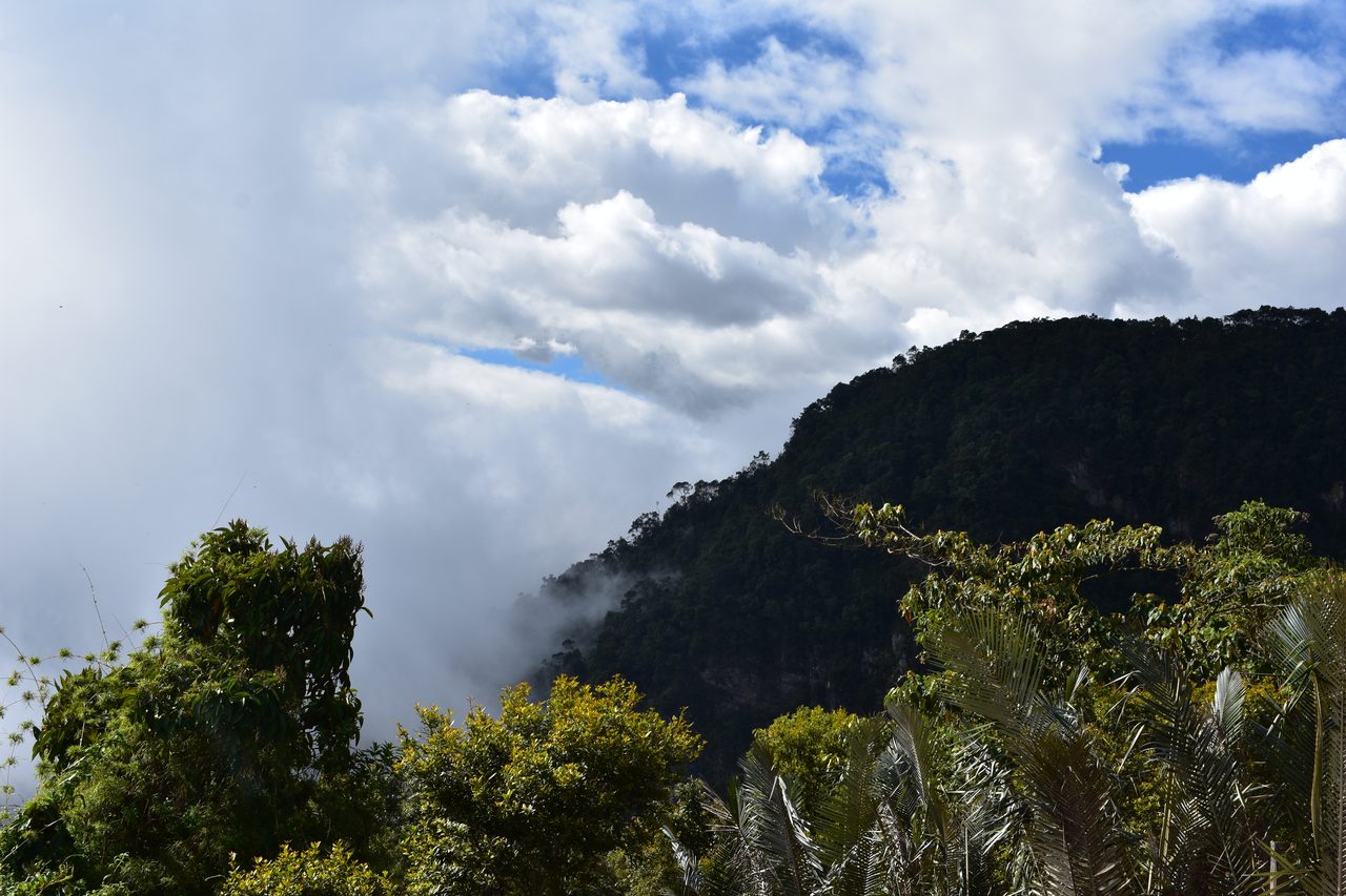 How to hike at Parque Natural Chicaque, a stunning mountain cloud forest close to Bogotá