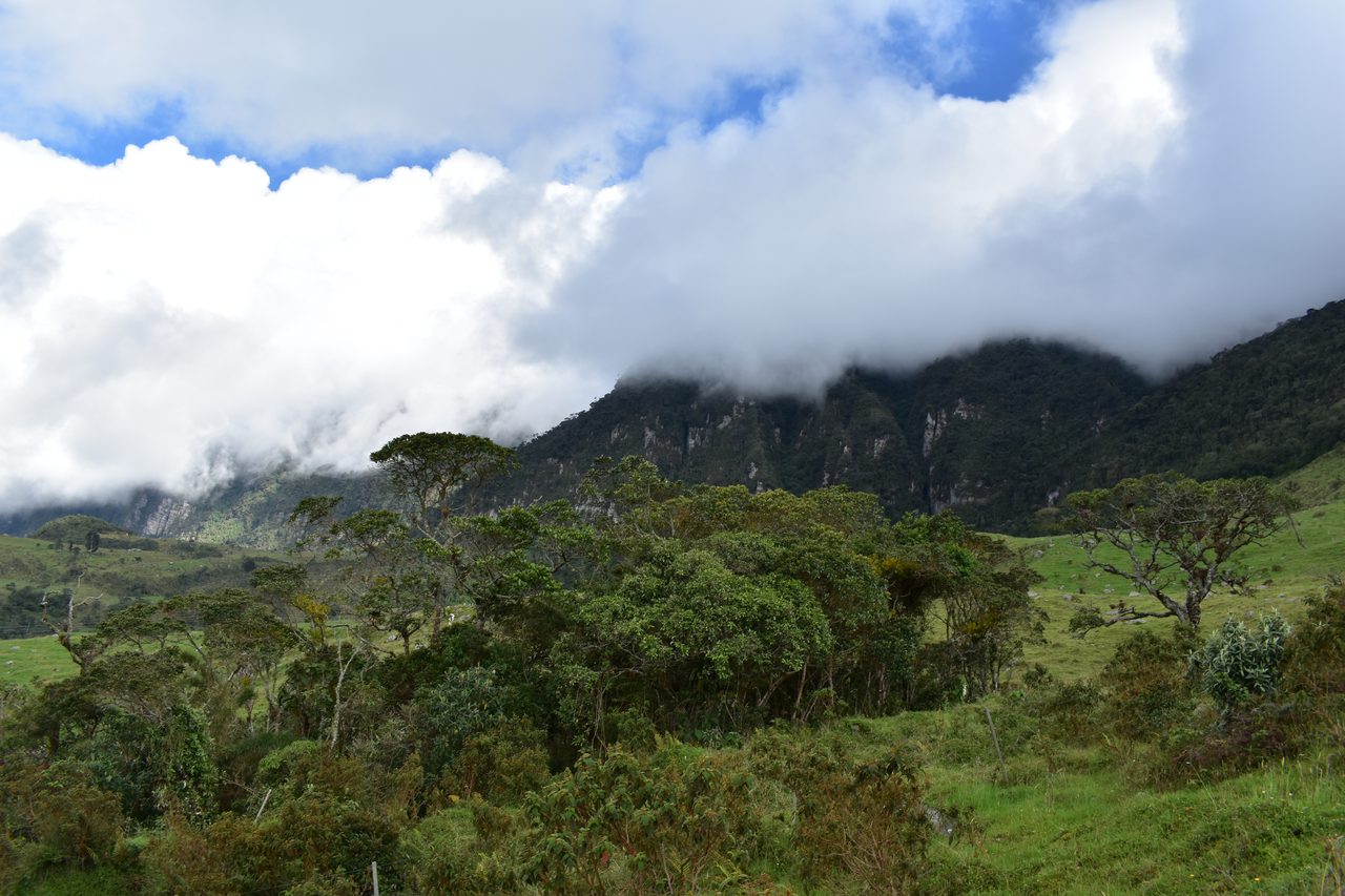 Enjoy the natural wonders of the high Andean Cloud Forest at Cuchilla El Tablazo, Bogotá