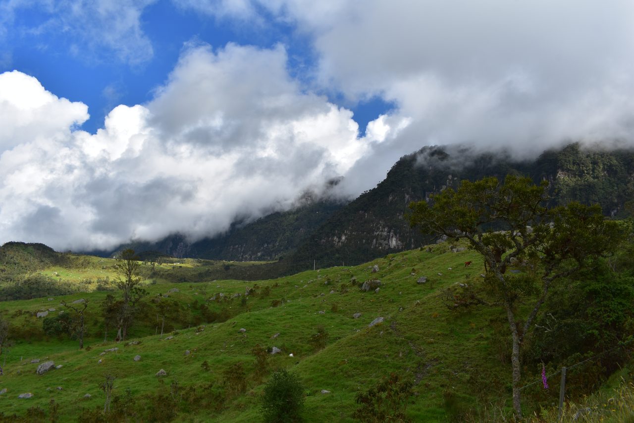 Enjoy the natural wonders of the high Andean Cloud Forest at Cuchilla El Tablazo, Bogotá