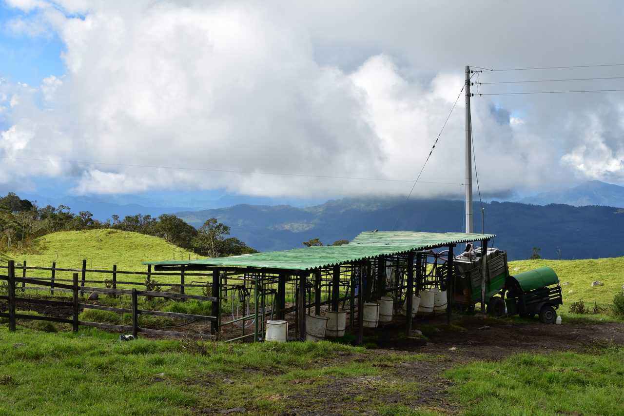 Enjoy the natural wonders of the high Andean Cloud Forest at Cuchilla El Tablazo, Bogotá