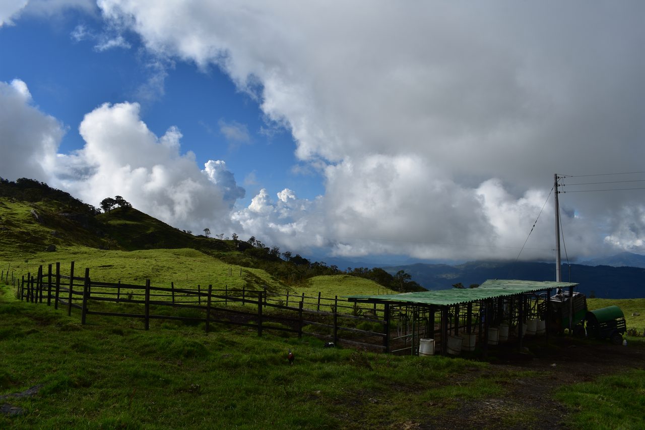 Enjoy the natural wonders of the high Andean Cloud Forest at Cuchilla El Tablazo, Bogotá