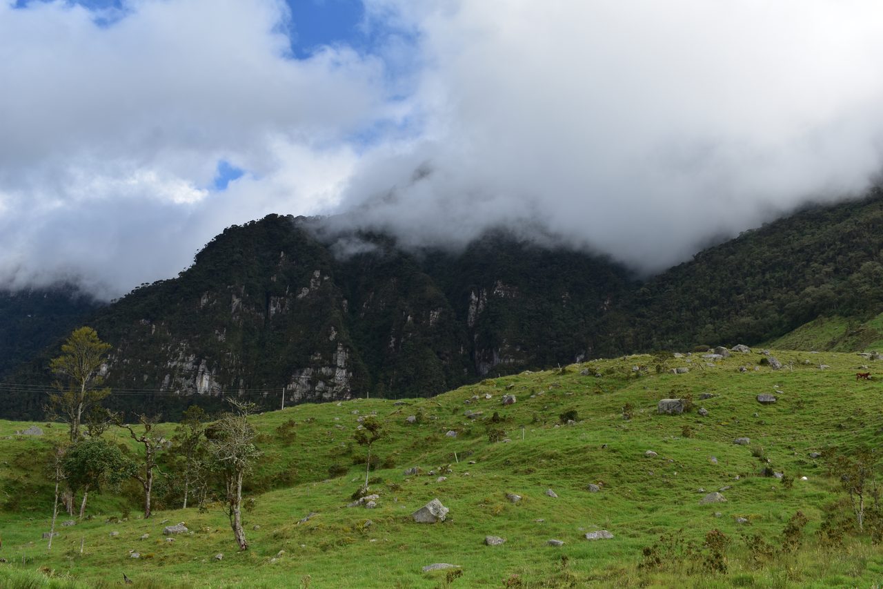 Enjoy the natural wonders of the high Andean Cloud Forest at Cuchilla El Tablazo, Bogotá