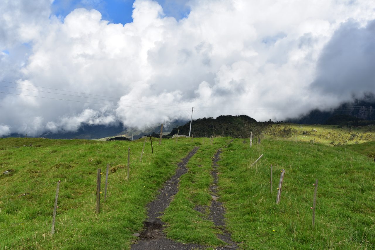 Enjoy the natural wonders of the high Andean Cloud Forest at Cuchilla El Tablazo, Bogotá