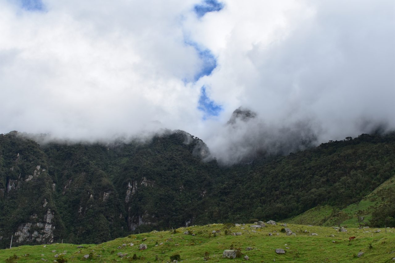 Enjoy the natural wonders of the high Andean Cloud Forest at Cuchilla El Tablazo, Bogotá