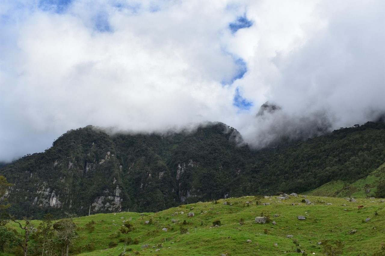 Enjoy the natural wonders of the high Andean Cloud Forest at Cuchilla El Tablazo, Bogotá