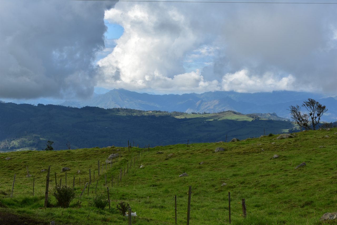 Enjoy the natural wonders of the high Andean Cloud Forest at Cuchilla El Tablazo, Bogotá