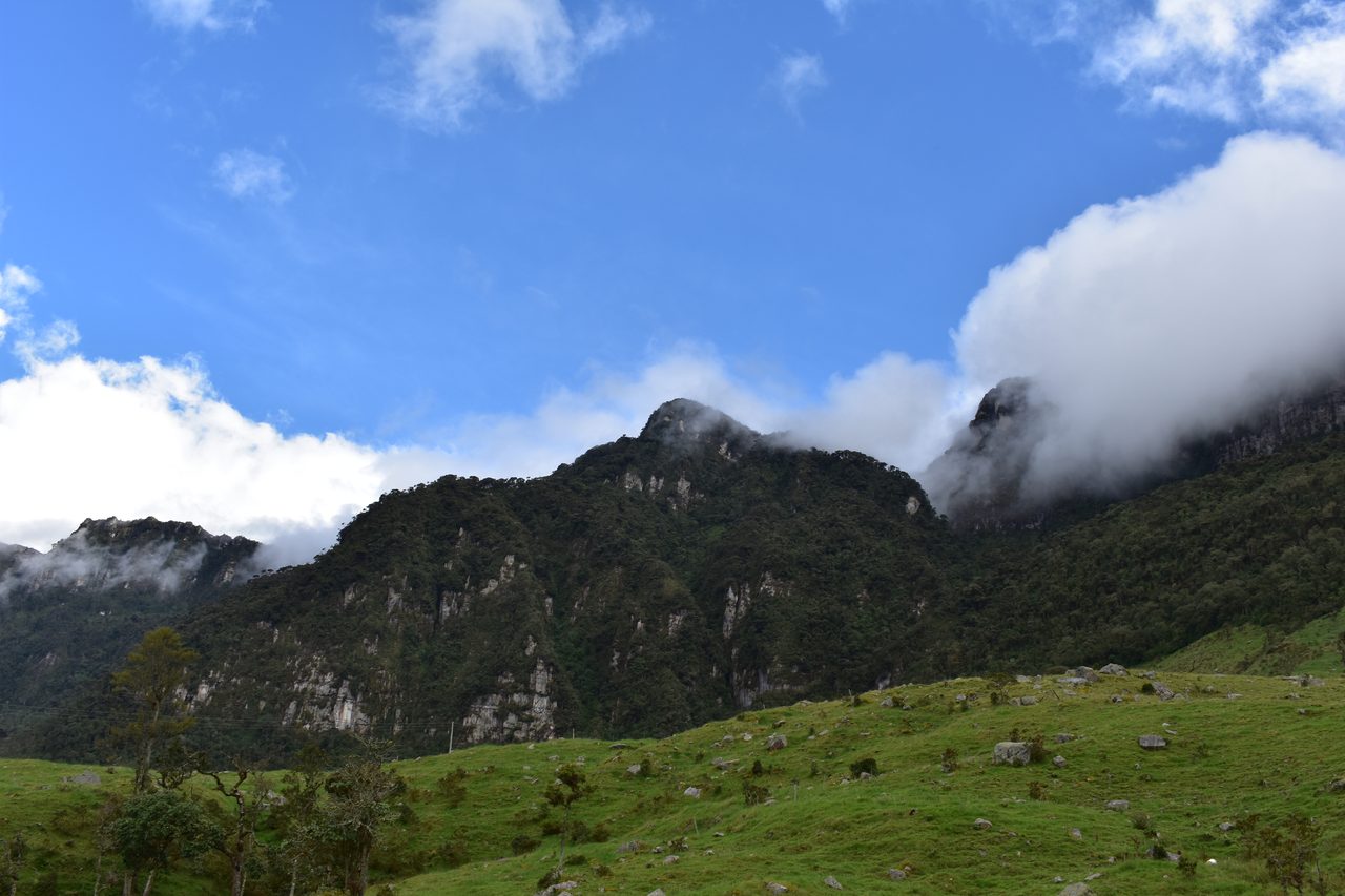 Enjoy the natural wonders of the high Andean Cloud Forest at Cuchilla El Tablazo, Bogotá