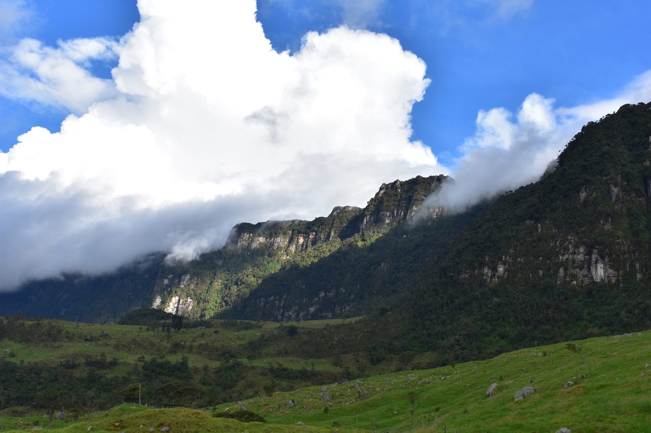 Enjoy the natural wonders of the high Andean Cloud Forest at Cuchilla El Tablazo, Bogotá